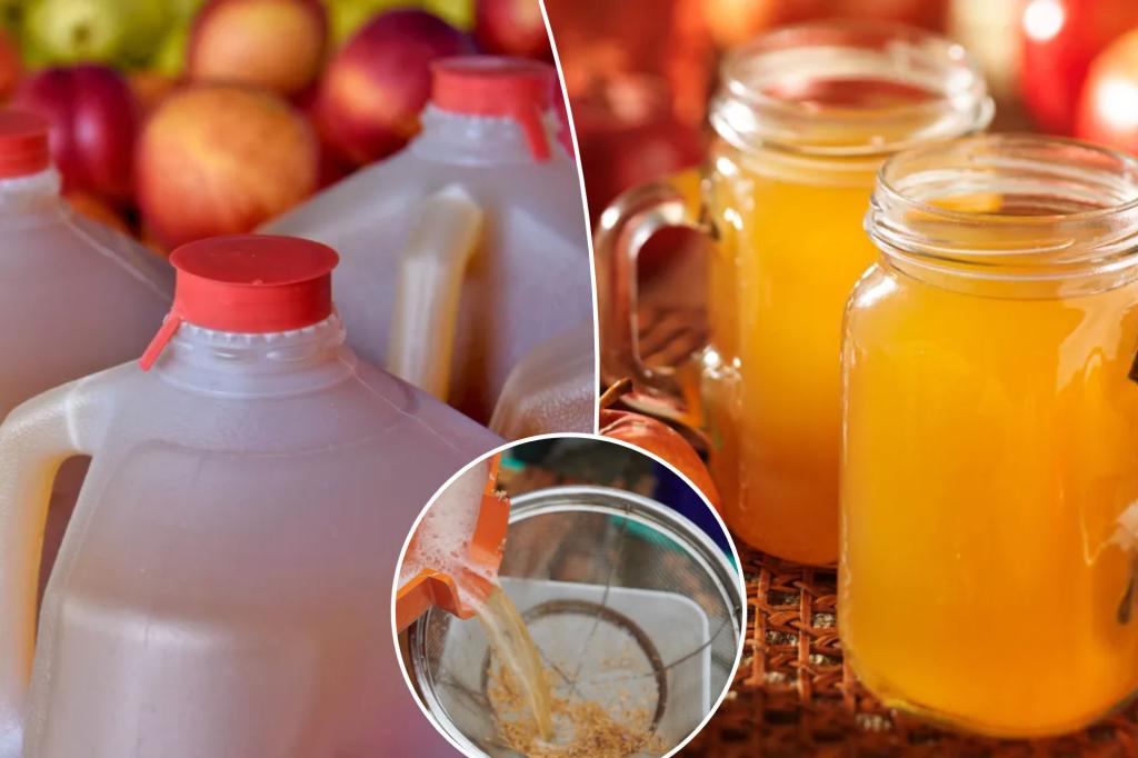 Unpasteurized apple cider can make you sick: health agencies